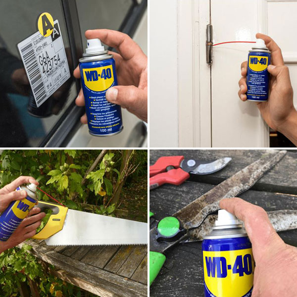 Dégrippant multifonction WD-40 100 ml 