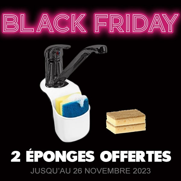 Rangement ponge + Lot de 2 ponges Offertes
