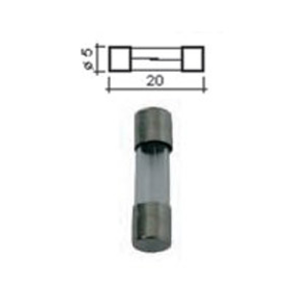 5 Fusibles verre 5x20 10A