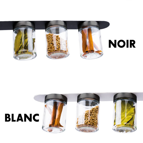 Lot de 3 bocaux de rangement 192 ml et socle magntique SILWY