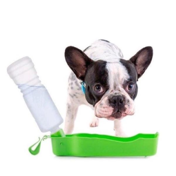 Bouteille avec abreuvoir pour animaux