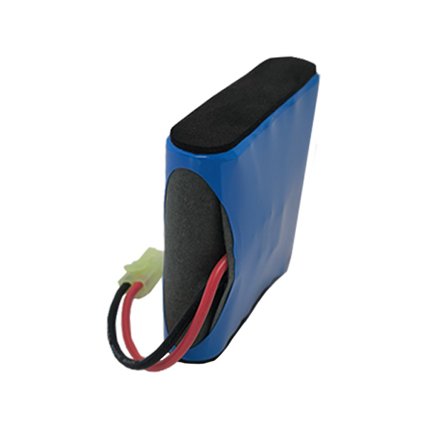 Batterie aspirateur rechargeable Incasa 12V 30W