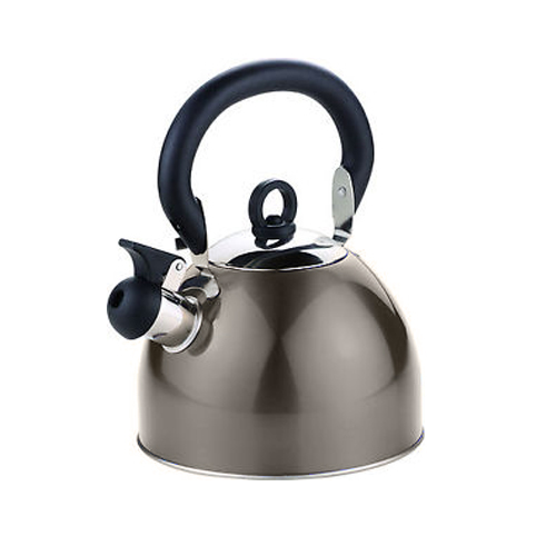 Bouilloire inox � sifflet 2,5 L Gris
