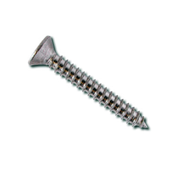 Vis inox TPF 3.5x25mm - les 20