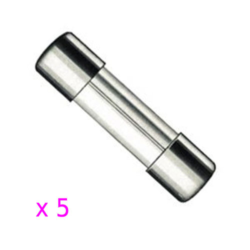 5 Fusibles verre 6x32 10A