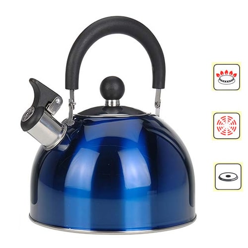 Bouilloire inox  sifflet 2,5 L Bleu