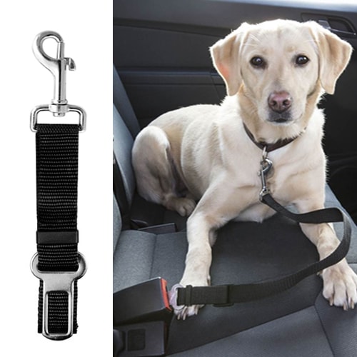 Ceinture De Sécurité Pour Chien Pour Voiture Mise À Niveau - Temu France