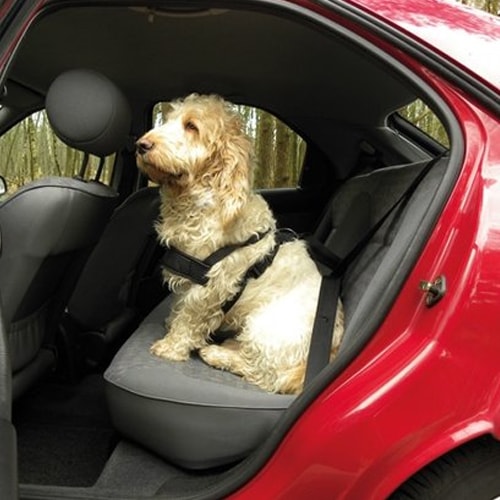 Harnais de scurit chien taille M