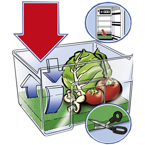 Tapis de Bac  lgumes 46 x 29,5 pour Frigo