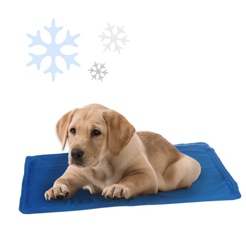 Tapis rafrachissant 40 X 50 pour animaux 
