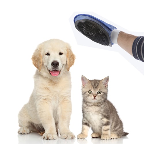 Gant de brossage pour Animaux