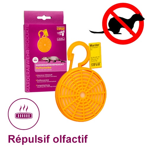 Repulsif Anti Fouines Et Martres Liquide Marter – 5 Litres - Hygiene Premium