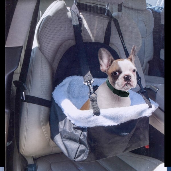 Panier de sécurité pour petits chiens ou chats - Camping-car, voiture