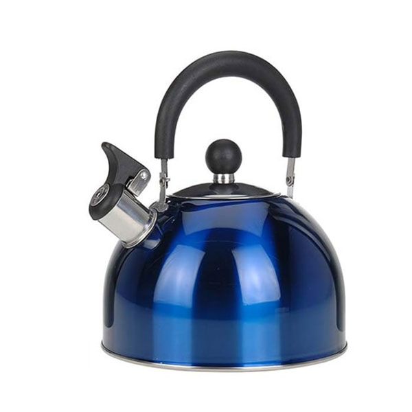 BOUILLOIRE INOX 2,5L BLEUE