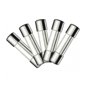 5 Fusibles verre 5x20 10A