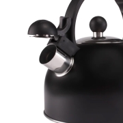 Bouilloire  sifflet Gerona 1,5L