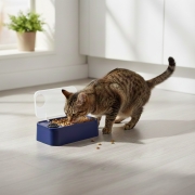 Gamelle automatique avec minuterie 48 h pour animaux