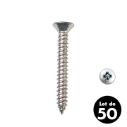 Vis Parker inox t�te frais�e plate 4.2x19mm - les 50