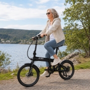 Vélo électrique pliable AIO Folding 20'' 10,5Ah ALDEN