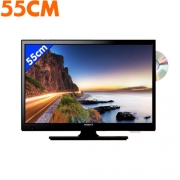 TV LED DVD 55cm Antarion