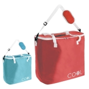 Sac isotherme Cooler bag 24L