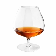 Lot de 2 Verres � Cognac Tritan 43 cl