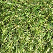 Tapis de sol effet Gazon 2 x 1 m
