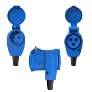 Fiche P17 femelle avec repiquage au dos