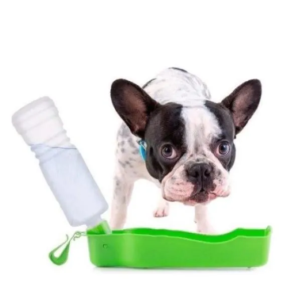 Bouteille avec abreuvoir pour animaux