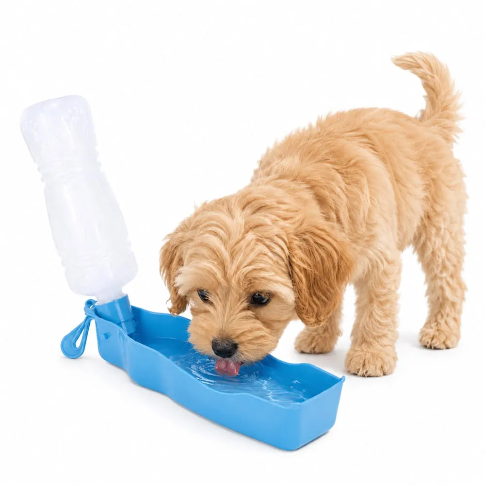Bouteille avec abreuvoir pour animaux