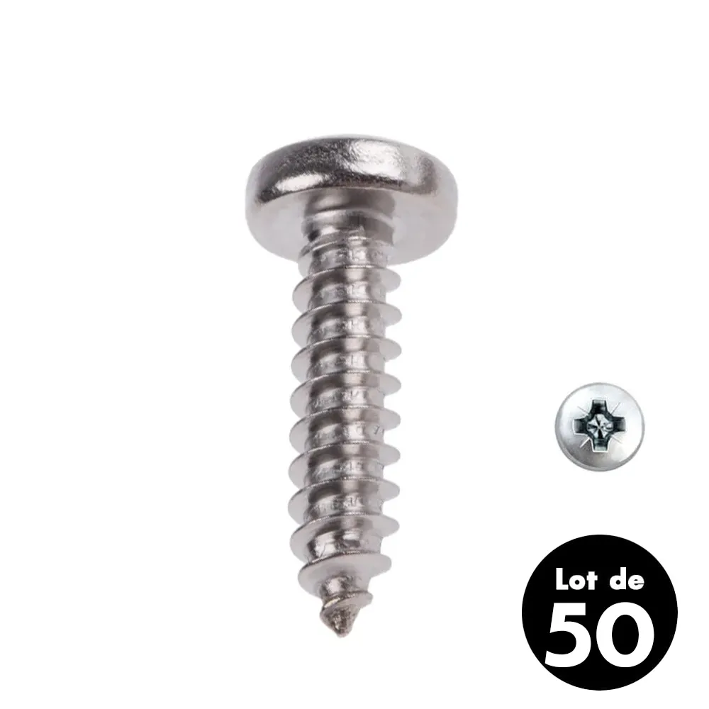 Vis Parker inox t�te bomb�e 4.2x19mm - les 50