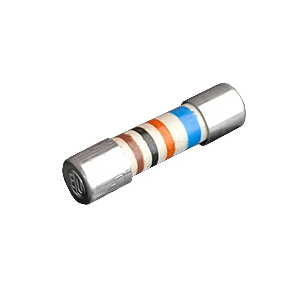 Fusible Truma 10A 250V